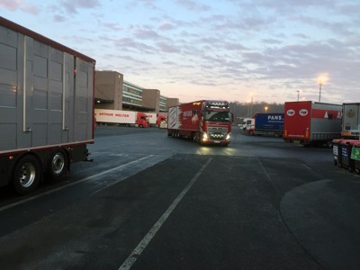 Tiertransport